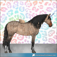 Horse Color:Bay Dun  and Bay Dun 