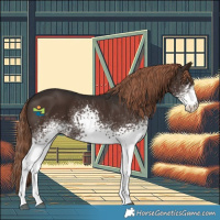 Horse Color:White Spotted Liver Chestnut 