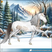 Horse Color:Buckskin Ice Dun Splash Tobiano 