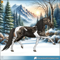 Horse Color:Bay Ice Dun Tobiano 