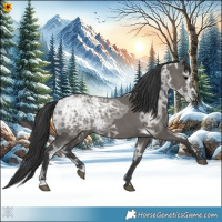 Horse Color:Grullo Ice 