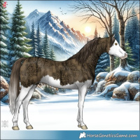 Horse Color:Classic Cream Champagne Ice Splash 