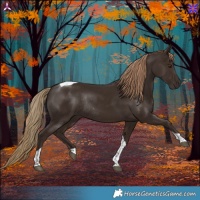 Horse Color:Liver Chestnut Tobiano Rabicano