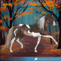 Horse Color:Liver Chestnut Tobiano 