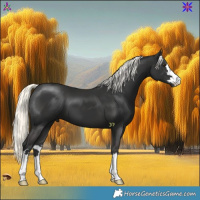 Horse Color:Liver Chestnut Mushroom