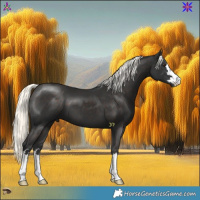Horse Color:Liver Chestnut Mushroom