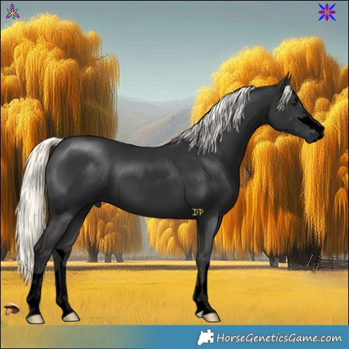 Horse Color:Void Liver Chestnut Mushroom 