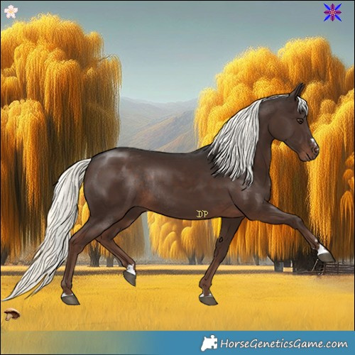 Horse Color:Liver Chestnut Mushroom Rabicano 