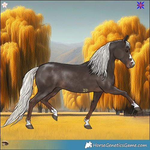 Horse Color:Liver Chestnut Mushroom Rabicano 
