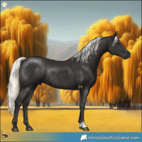 Horse Color:Liver Chestnut Mushroom Rabicano 