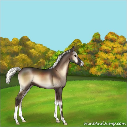 Horse Color:Liver Red Onyx Mushroom 