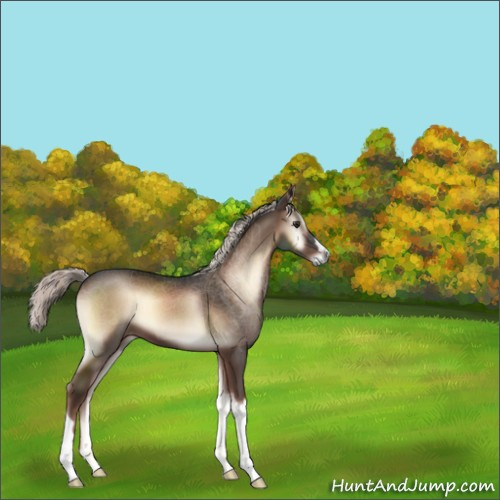 Horse Color:Liver Red Onyx Mushroom 