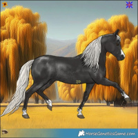 Horse Color:Liver Chestnut Mushroom Rabicano 