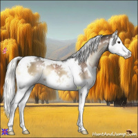 Horse Color:White Spotted Liver Red Onyx Mushroom Splash 