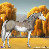 Horse Color:Liver Red Dun Mushroom Splash 