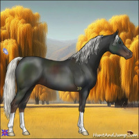 Horse Color:Liver Chestnut Mushroom 