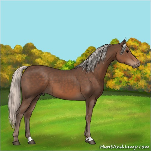 Horse Color:Silver Black 