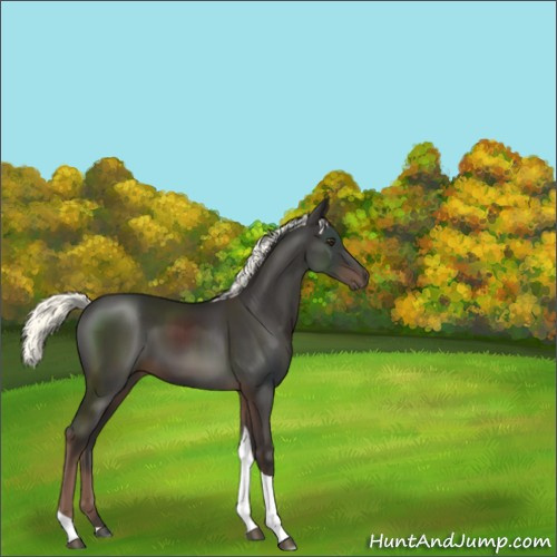 Horse Color:Liver Chestnut Mushroom Tobiano 