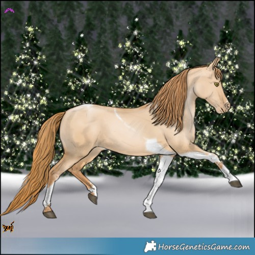 Horse Color:Red Dun Pearl Tobiano 