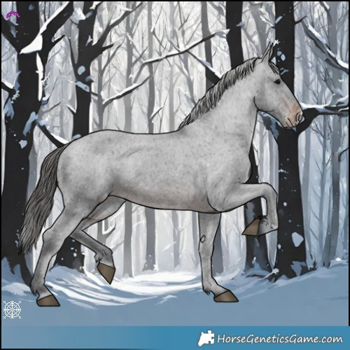 Horse Color:Brown Appaloosa 