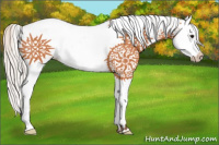 Horse Color:White Spotted Silver Bay Splash 