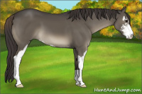 Horse Color:Smoky Grullo Sabino 