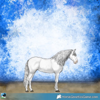 Horse Color:White Spotted Silver Black Sabino Appaloosa Rabicano 