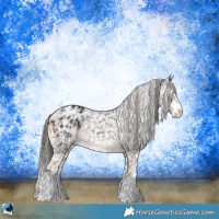 Horse Color:White Spotted Liver Chestnut Appaloosa 