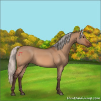 Horse Color:Silver Bay Dun