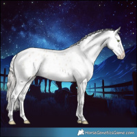 Horse Color:Silver Brown Roan Snowdrop Pearl Dun Blanket Rabicano 