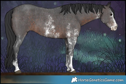 Horse Color:Brown Sabino 