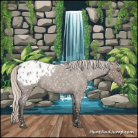 Horse Color:Silver Grullo Roan Appaloosa Rabicano 