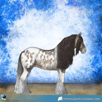 Horse Color:Brown Ice Onyx Tobiano Near Leopard Rabicano 