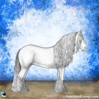 Horse Color:Brown Ice Sabino Splash Rabicano 