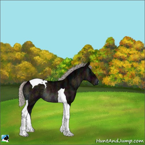 Horse Color:Midnight Silver Brown Ice Onyx Tobiano Rabicano 