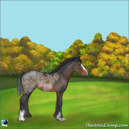 Horse Color:Brown Ice Sabino Rabicano 