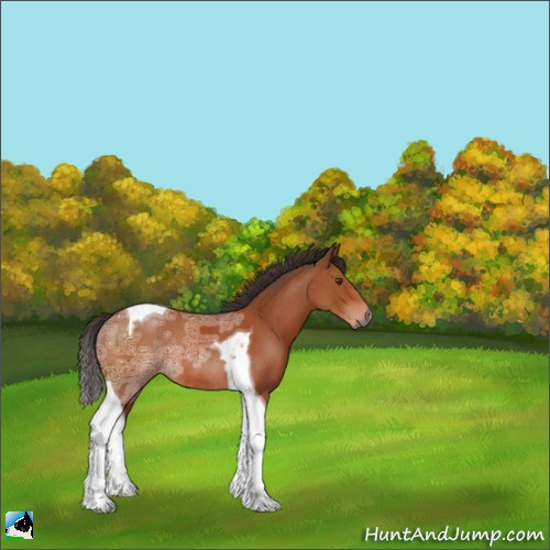 Horse Color:Brown Ice Tobiano Rabicano 