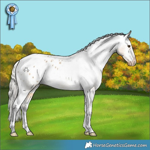 Horse Color:White Spotted Silver Buckskin Dun Tobiano Appaloosa 