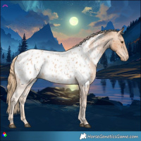 Horse Color:Chestnut Near Leopard 