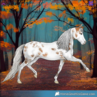 Horse Color:Silver Buckskin Splash Tobiano 