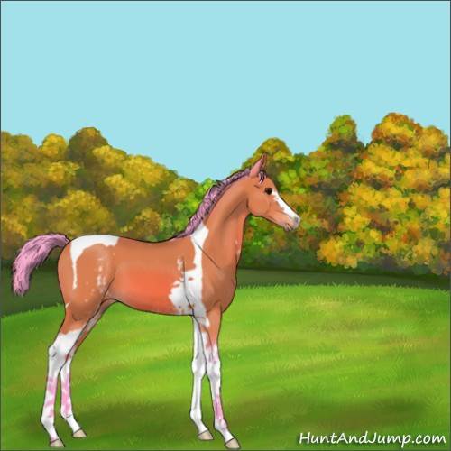 Horse Color:Watercolor White Spotted Bay Tobiano 