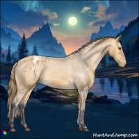Horse Color:Buckskin Appaloosa