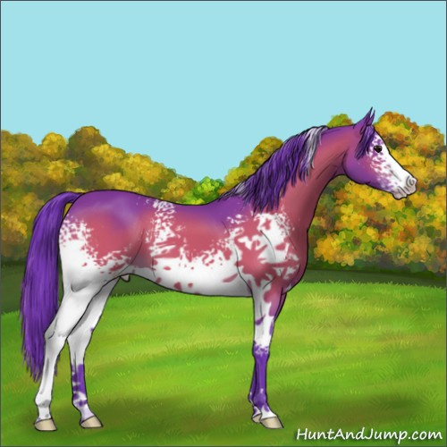 Horse Color:Watercolor White Spotted Bay 