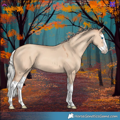 Horse Color:Silver Sable Champagne Dun Splash 