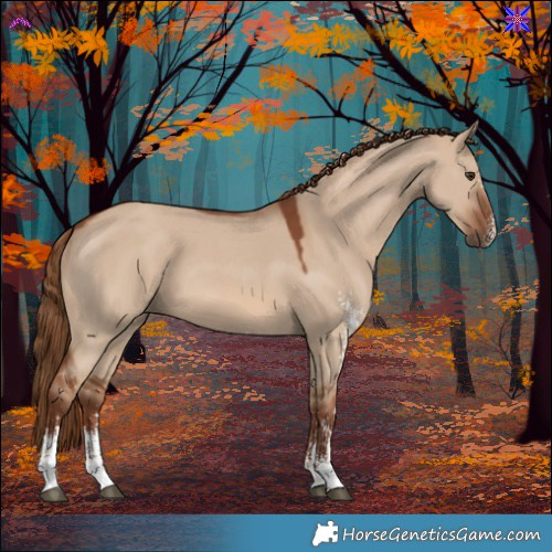 Horse Color:Red Dun Sabino 