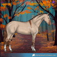 Horse Color:Red Dun Sabino 