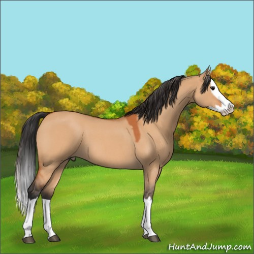 Horse Color:Bay Roan Dun Splash 
