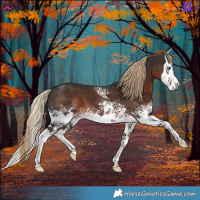 Horse Color:White Spotted Liver Chestnut Splash 