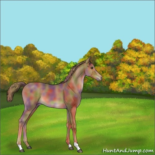 Horse Color:Nacre Chestnut 