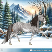 Horse Color:Liver Red Ice Roan Splash Frame